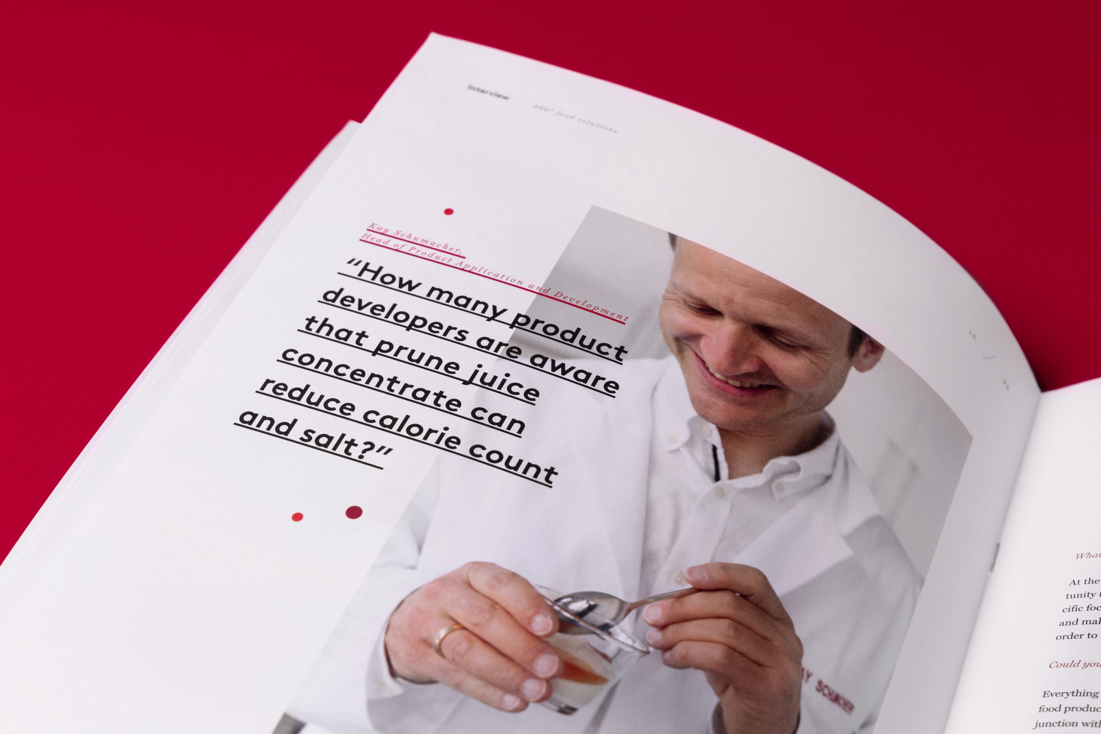 Bösch Boden Spies Broschüre