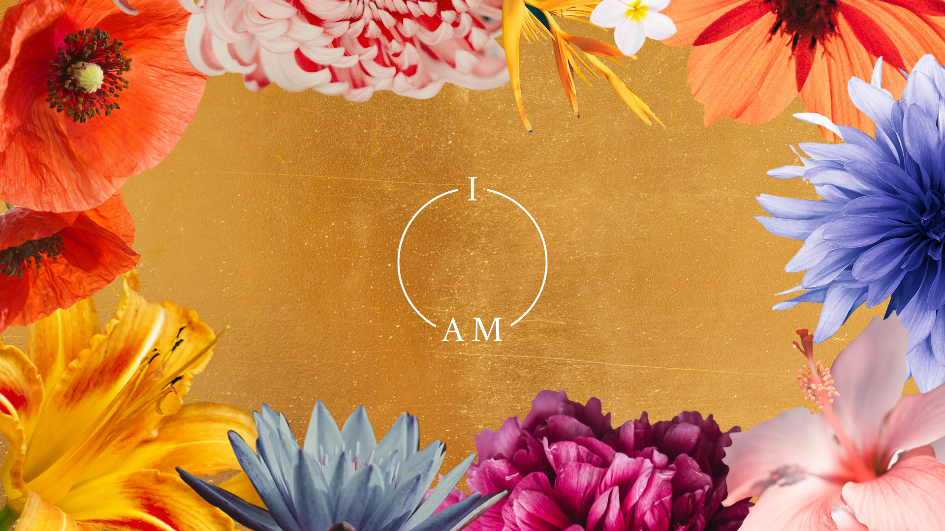 I AM